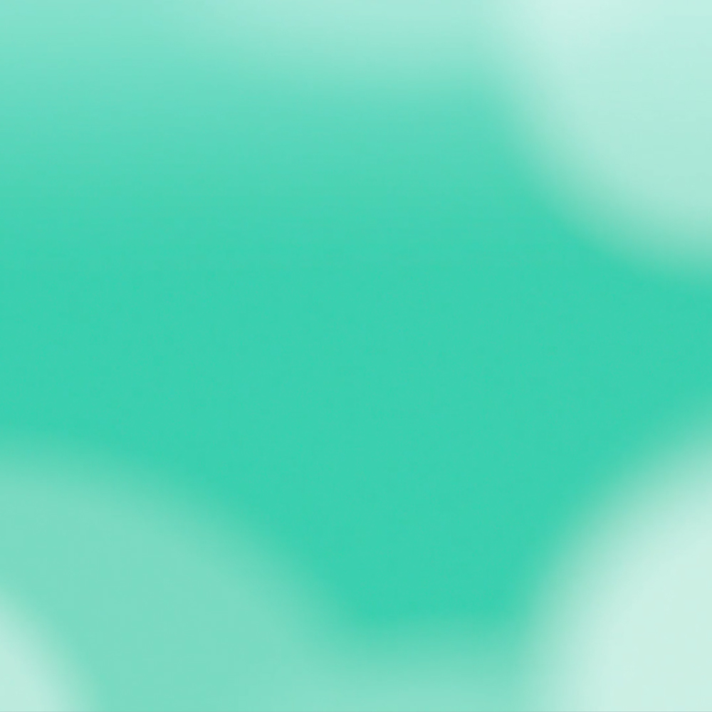 HealthInvest Partners 